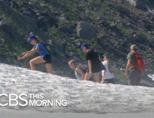 Anchorage hits 90 degrees as record-breaking heatwave hits Alaska