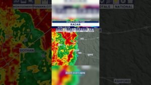 ‘Possible tornado’ surprises Alabama meteorologist #weather #news #alabama