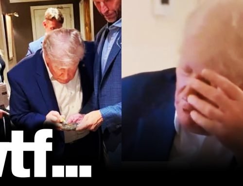 Natalie Harp Accidentally Exposes Trump