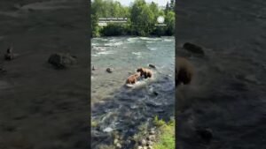 Mama protects kids from unknown bear