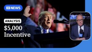 Trump promises USD$5,000 to all adult citizens if Republicans retain House and Senate | ABC NEWS