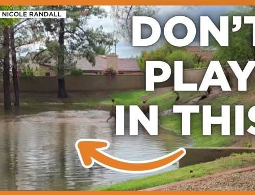 Arizona officials warn against playing in floodwater: Here’s why