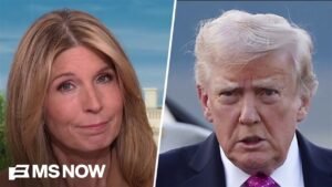 ‘Bizarre, unhinged AI slop’: Nicolle STINGS Trump for appalling posts and BOGUS 9/11 claims