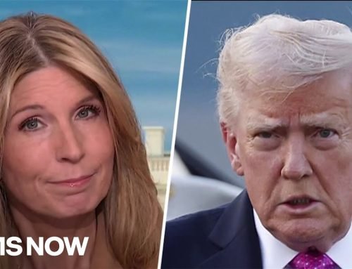 ‘Bizarre, unhinged AI slop’: Nicolle STINGS Trump for appalling posts and BOGUS 9/11 claims