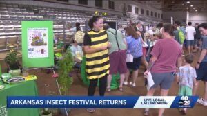 Cockroach races return for the Arkansas Insect Festival