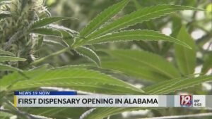 First Dispensary Opening In Alabama | April 10, 2026 | News 19 at 4 p.m.