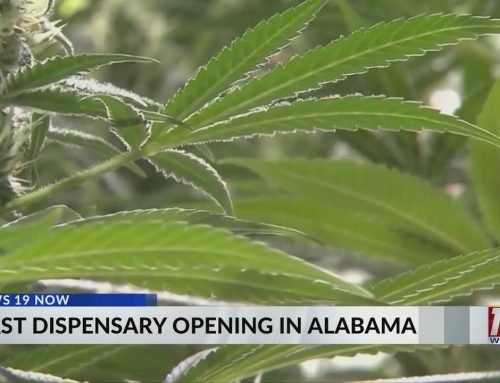 First Dispensary Opening In Alabama | April 10, 2026 | News 19 at 4 p.m.