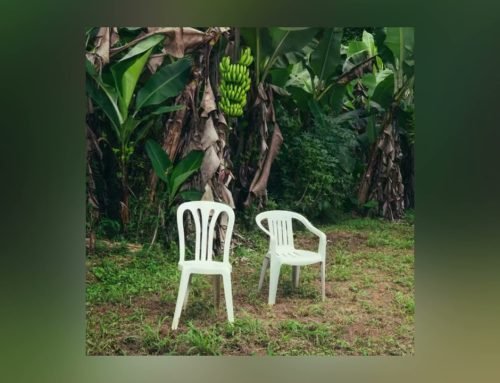 BAILE INoLVIDABLE – Bad Bunny