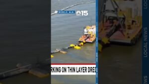 Alabama senator developing legislation to ban dredge material placement in Mobile Bay