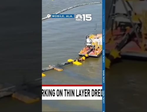 Alabama senator developing legislation to ban dredge material placement in Mobile Bay