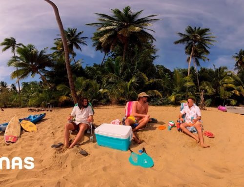 Bad Bunny – Después de la Playa (360° Visualizer) | Un Verano Sin Ti