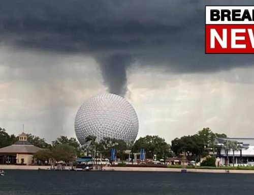 Tornado Warning At Disney World! #shorts