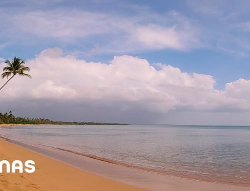 Bad Bunny – Aguacero (360° Visualizer) | Un Verano Sin Ti
