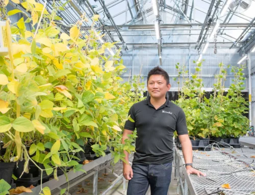 Submissions Open: 2026 World Food Prize Foundation Top Agri-food Pioneers