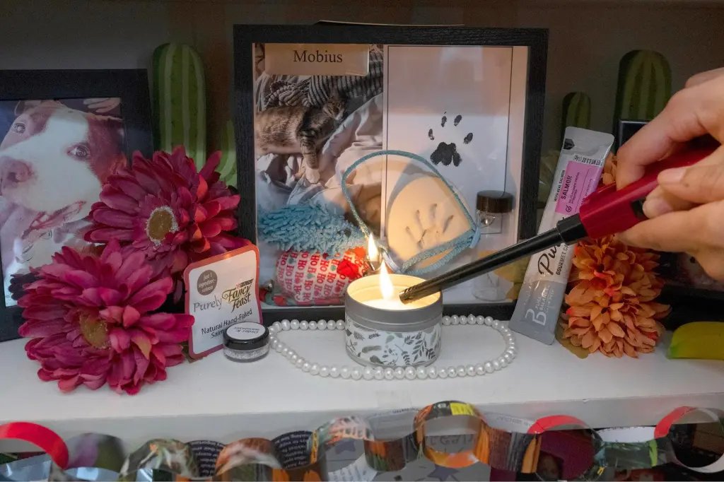 Before the Day of the Dead, a time to welcome departed dogs and cats ...