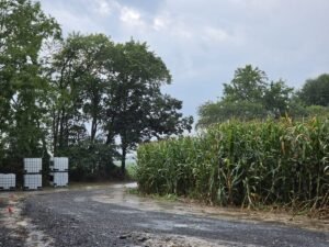 Shangri-La Farms proposes 50,000-plant cannabis farm in Smyrna
