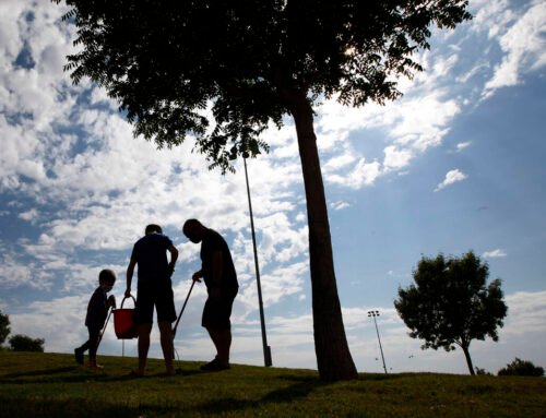 COMMENTARY: ‘Lived experience’: Is it right for you?