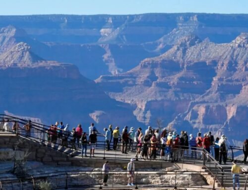 National parks: Higher fees target foreigners, stokes tourism concerns | Nation and World