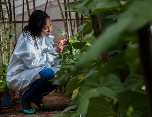 Making this International Year of the Woman Farmer count