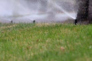 SNWA encourages turning off sprinklers in Lss Vegas for rest of the week | Environment