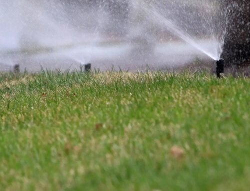 SNWA encourages turning off sprinklers in Lss Vegas for rest of the week | Environment