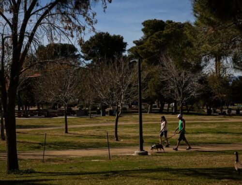 Las Vegas weather: More record-breaking heat as March begins | Las Vegas Weather