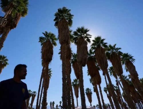 Arizona town sees 110, highest March temperature ever recorded in US | Nation and World