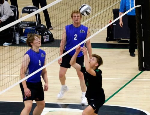 Nevada high school softball, boys volleyball results May 5, 2026