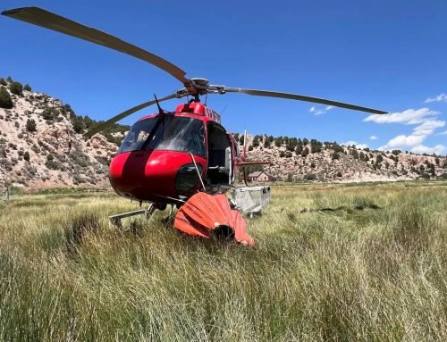 Officials elevate response efforts to combat eastern Nevada wildfires | Local Nevada