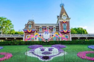 Disneyland offers discounted tickets for evening only passes | Nation and World