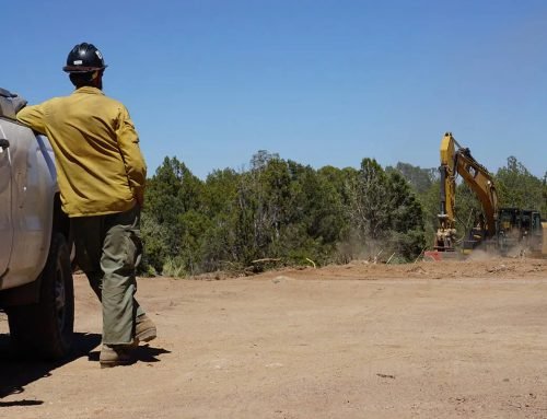 Beaver Dam State Park to reopen as Grapevine Fire nears full containment | Local Nevada