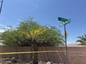 Las Vegas police investigate deadly shooting near Hollywood Regional Park | Shootings
