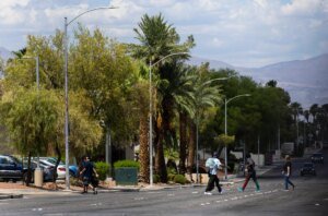 At least 260 people have died from extreme heat this year in Southern Nevada | Environment