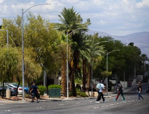 At least 260 people have died from extreme heat this year in Southern Nevada | Environment