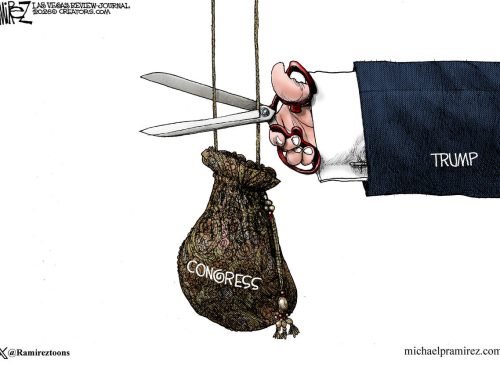 CARTOON: The purse-strings