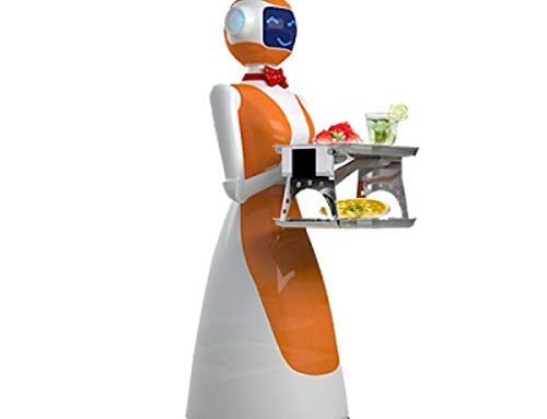 AI Humanoid Intelligent Robots Restaurant Waitress Food delivery