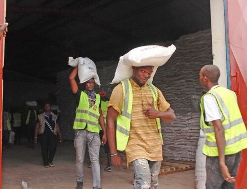Tailored Solutions to Build Africa’s Resilience and End Hunger