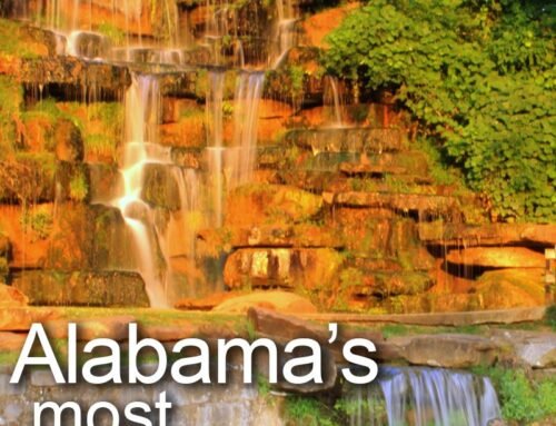 10 Most Unique Parks In Alabama