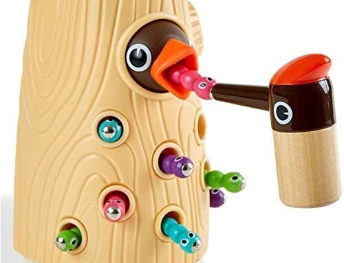 TOP BRIGHT Montessori Toys for 2 Year Old Girl and Boy Gifts, Fine Motor Skills Toddler Toys Age 2-4, Woodpecker Worm Toy Magnetic Bird Feeding Game