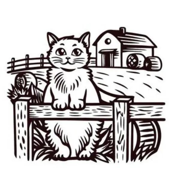 Pet of the Week: ‘Not-so-social’ cats - Homer News