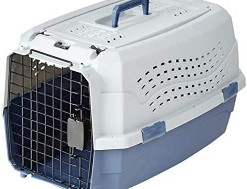 Amazon Basics 2-Door Top Load Hard-Sided Dog and Cat Kennel Travel Ca…