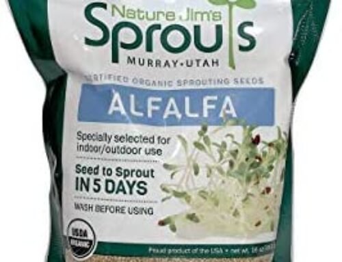 Nature Jims Alfalfa Sprout Seeds – 16 Oz Organic Sprouting Seeds – No…