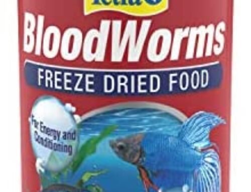 Tetra® BloodWorms 0.25 Oz, Freeze-Dried Food for Freshwater and Saltw…