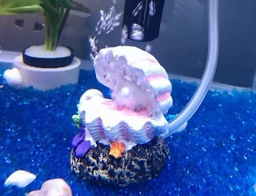 Pankero5v Aquarium Shell Bubbler Decor, Fish Tank Bubble Maker Shell …