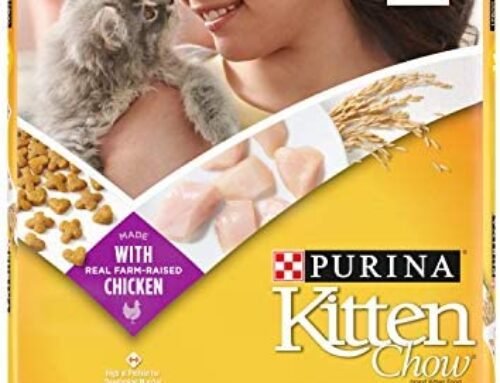 Purina Kitten Chow Dry Kitten Food, Nurture Muscle + Brain Developmen…