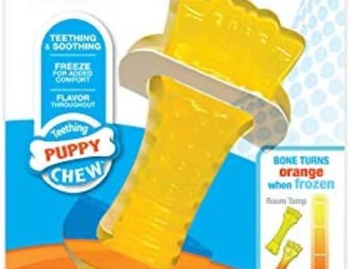 Nylabone Chill and Chew Dog Chew Toy for Teething Puppies and Small/Medium/Large Dogs