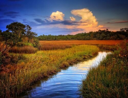 Marshland sunset in Coden Alabama | Carmen K. Sisson | Photographer