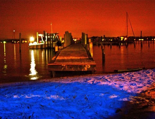 Pirates Cove in Elberta, Alabama