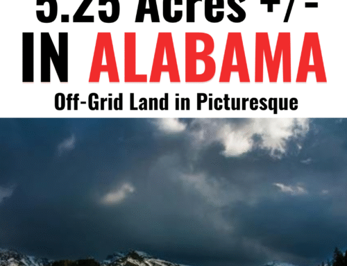 5.25 Acre Private Wooded Off-Grid Land in Picturesque Alabama