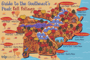 Where to See the Best Fall Color in the Southeast